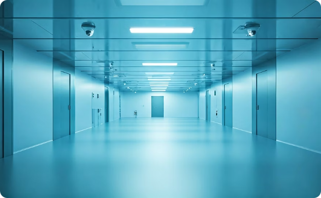 Rapid Processing & Accuracy